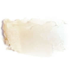 PAESE Nanorevit - Pielęgnująca Pomadka do Ust 40