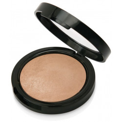 GOLDEN ROSE Terracotta Powder, Puder Mineralny 08