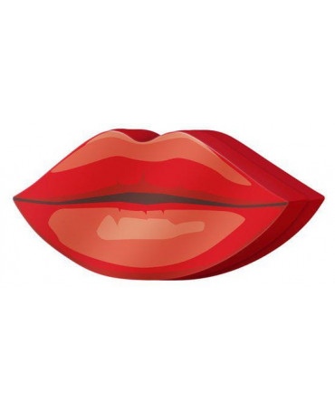 ISADORA Perfect Lip Kit -...