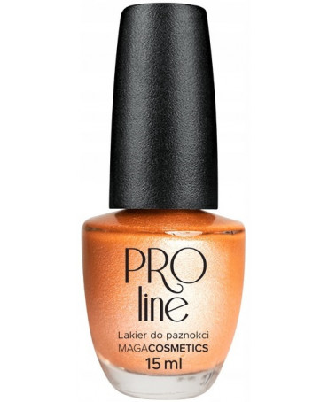 MAGA PROLine - Lakier do...