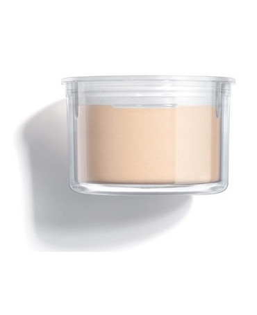 ARTDECO Translucent Powder...