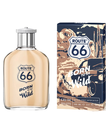 ROUTE 66 Born to Be Wild -...